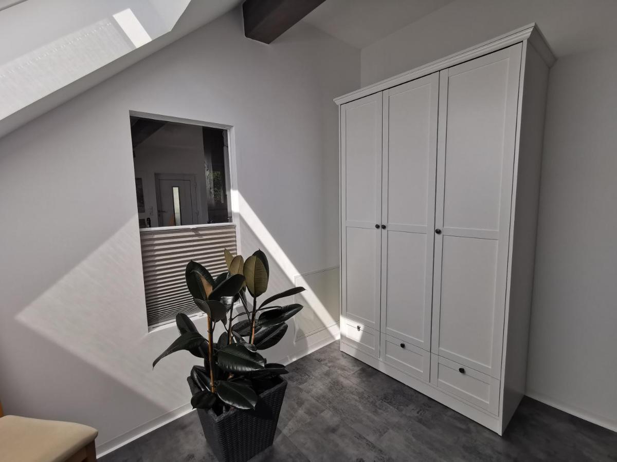 Apartmán Skyline Klimatisierte Dachgeschoss-wohnung In Mit Blick Ins Rheintal