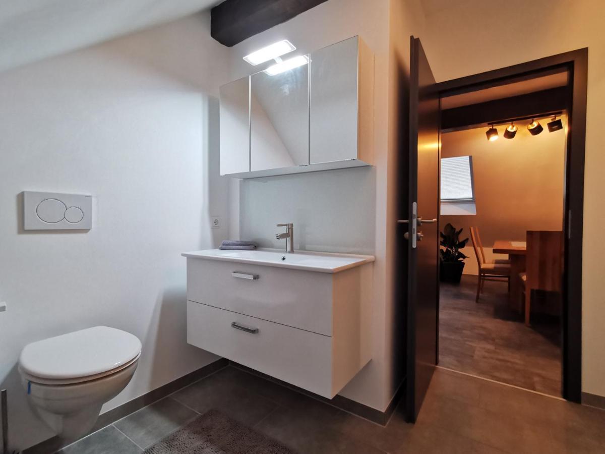 Skyline Klimatisierte Dachgeschoss-wohnung In Mit Blick Ins Rheintal *